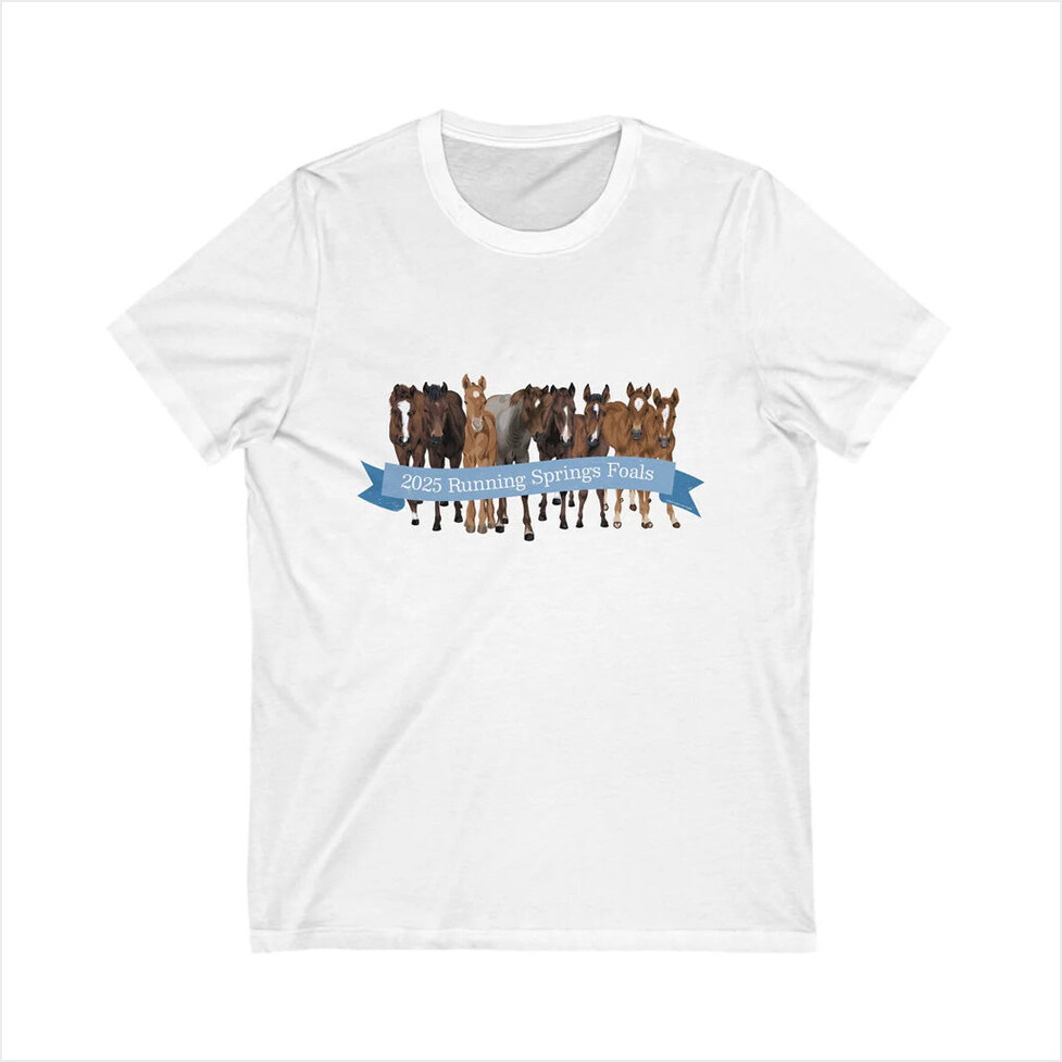 2025 Running Springs Foals White T-Shirt Katie Van Slyke Merch Present For Him