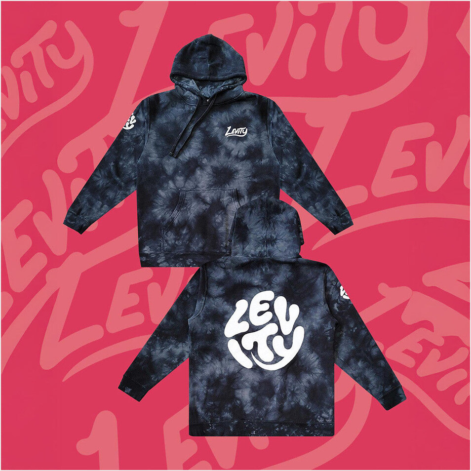 2555 Levity Hoodie Levity Merch Father's Day Gifts For Husband Birthday Gifts For Besties