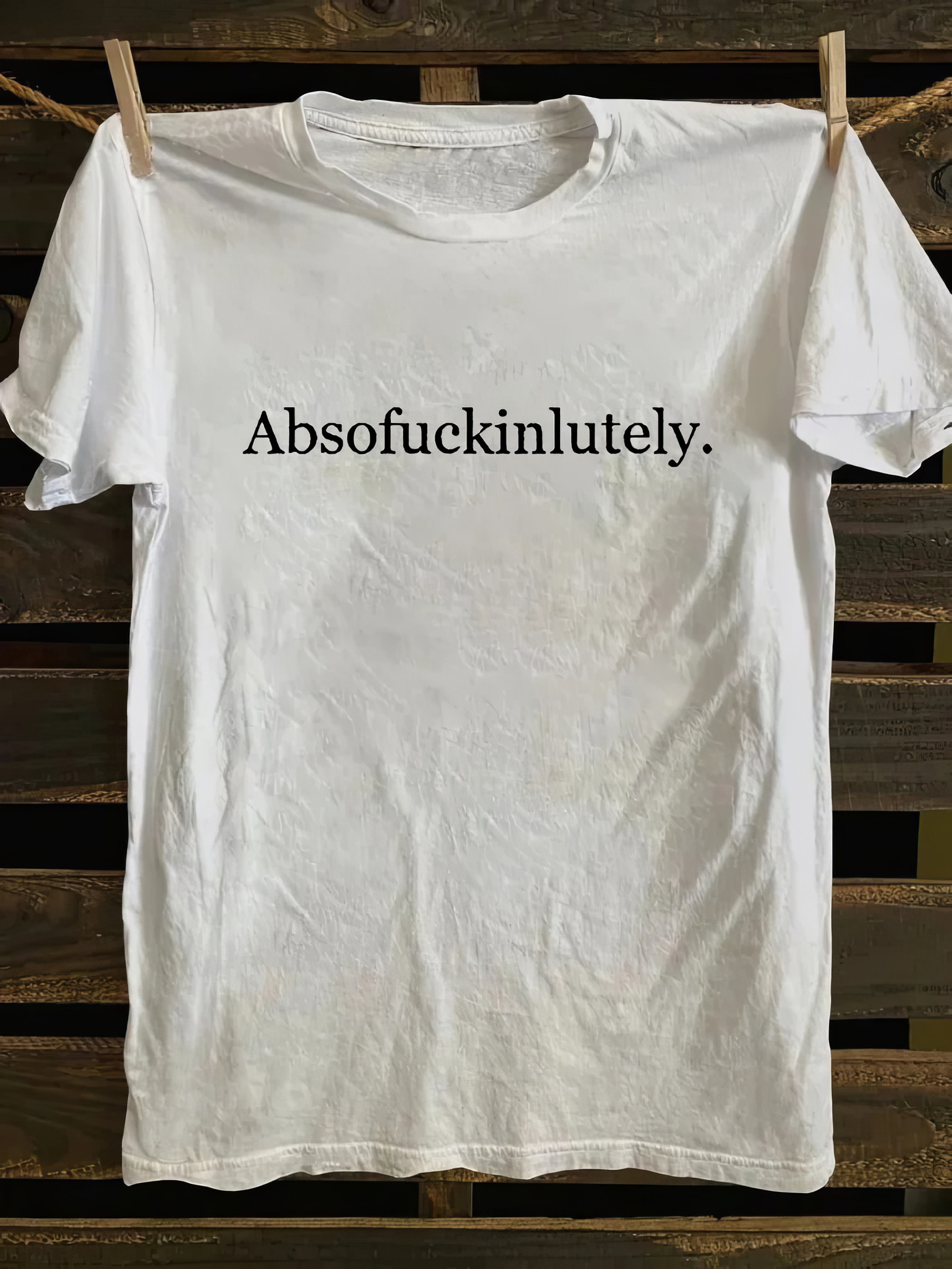 Absofukinlutely T-Shirt Funny Adults Shirts Gifts For Boyfriend