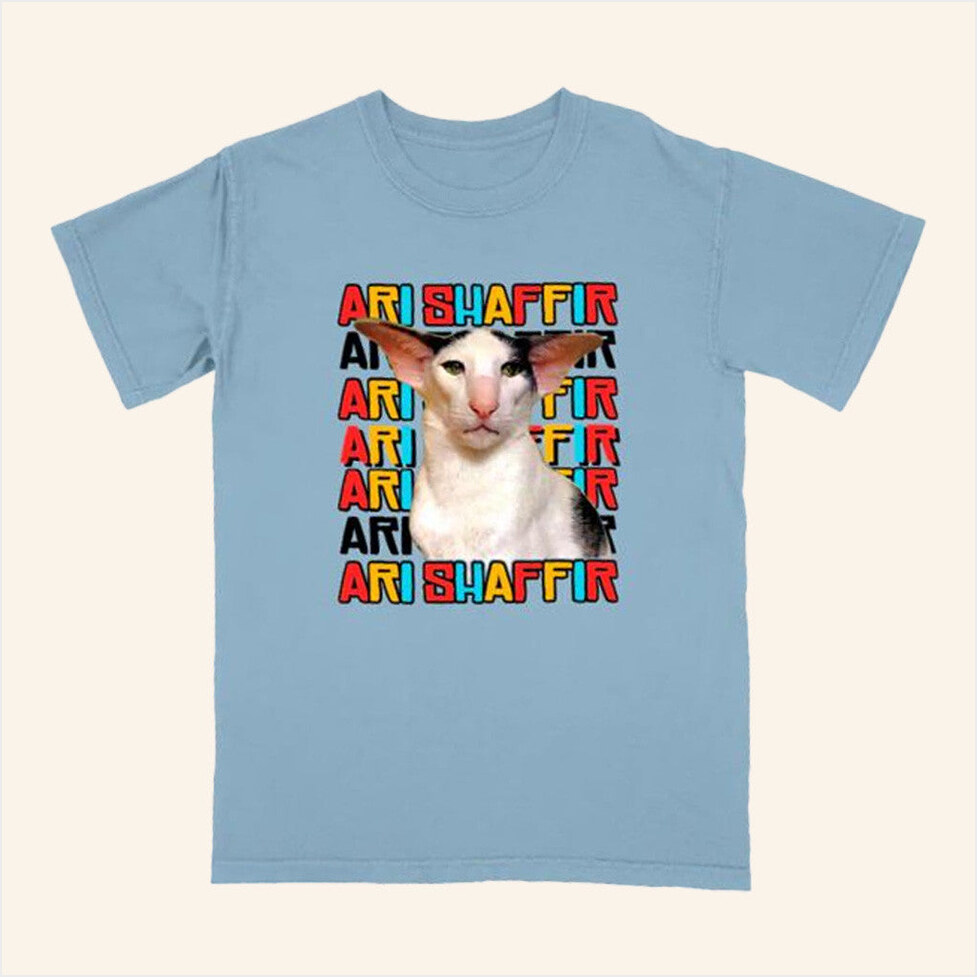 Ari Tour Cat T-Shirt Ari Shaffir Merch Best Friend Gift Ideas Birthday Gifts For Besties