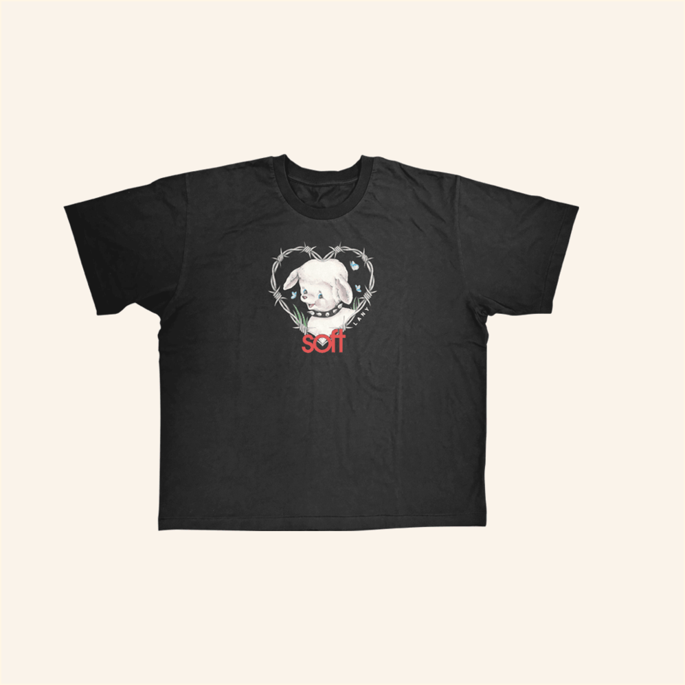Barbed Wire Lamb Cropped T-Shirt Lany Official Merch Black Friends Birthday Gift Ideas