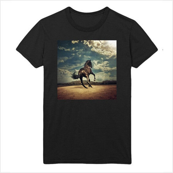 Bruce Springsteen T-Shirt Western Stars Album Cover Tee Bruce Springsteen Merch Fans Gifts