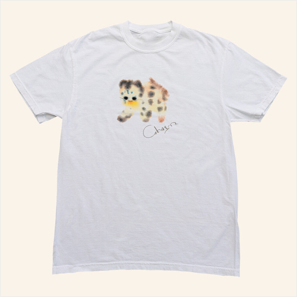 Charm Cat T-Shirt Clairo Charm Merch Birthday Gift Ideas Christmas Presents