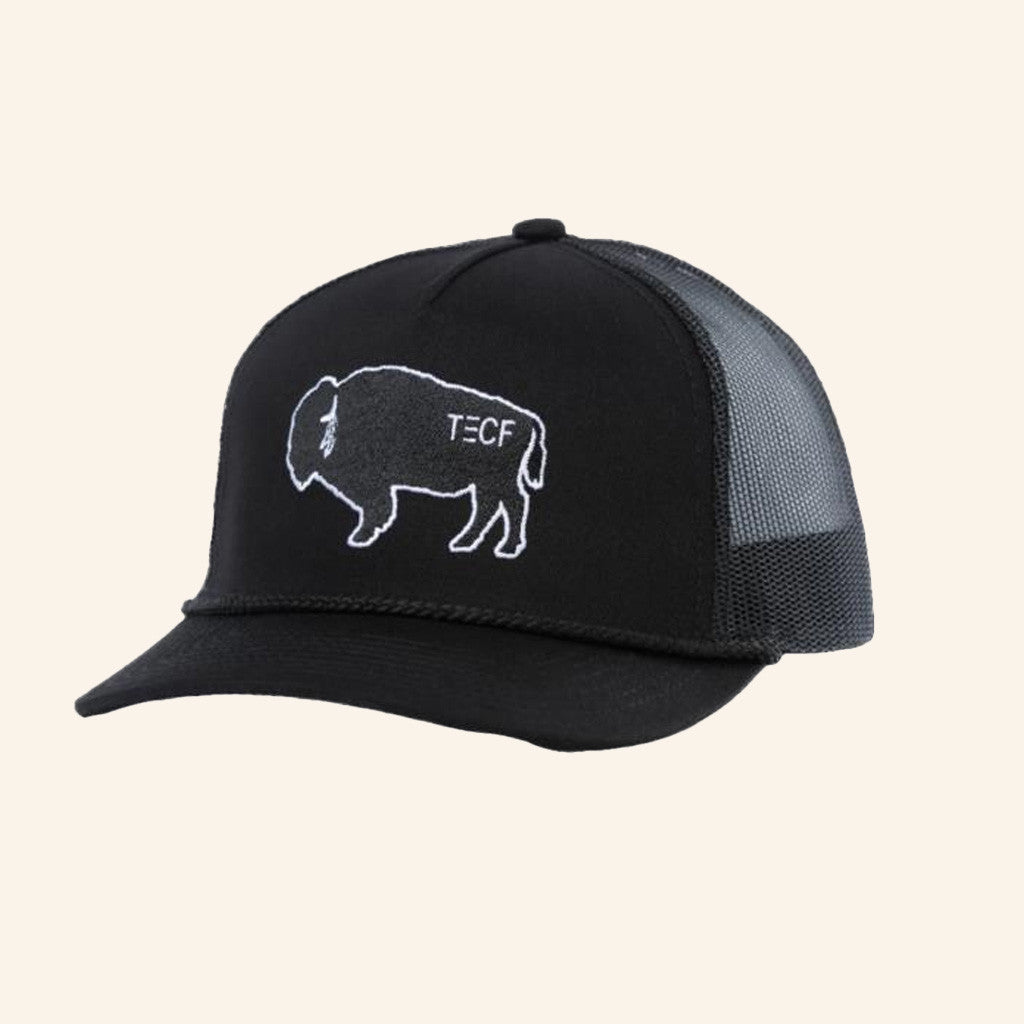 Chase Rice Merch Chase Rice Tecf Bison Trucker Hat Embroidered Gifts For Dudes