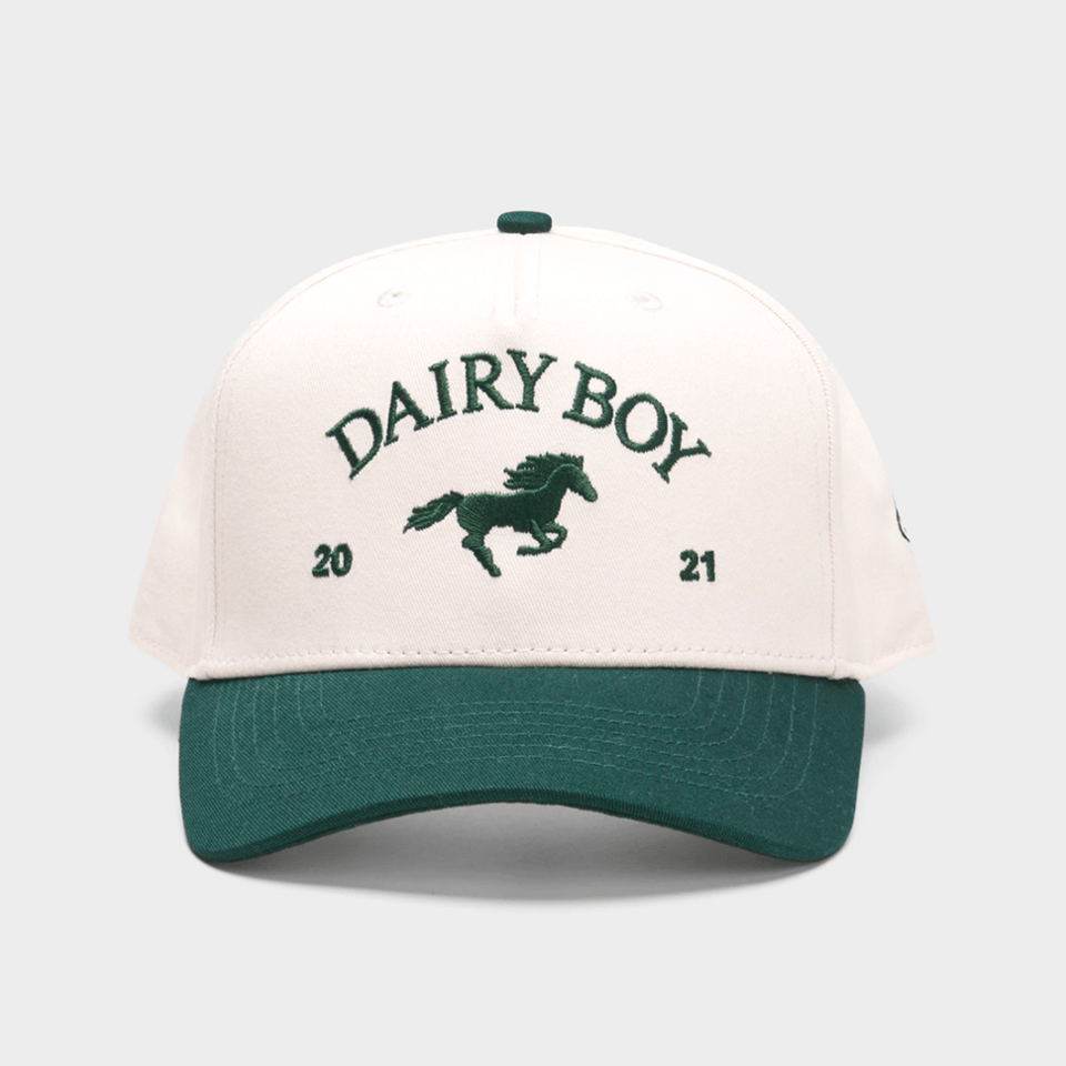 Dairy Boy Hat Embroidered Dairy Boy American Hat Great Gifts For Dad Gifts For Best Friend