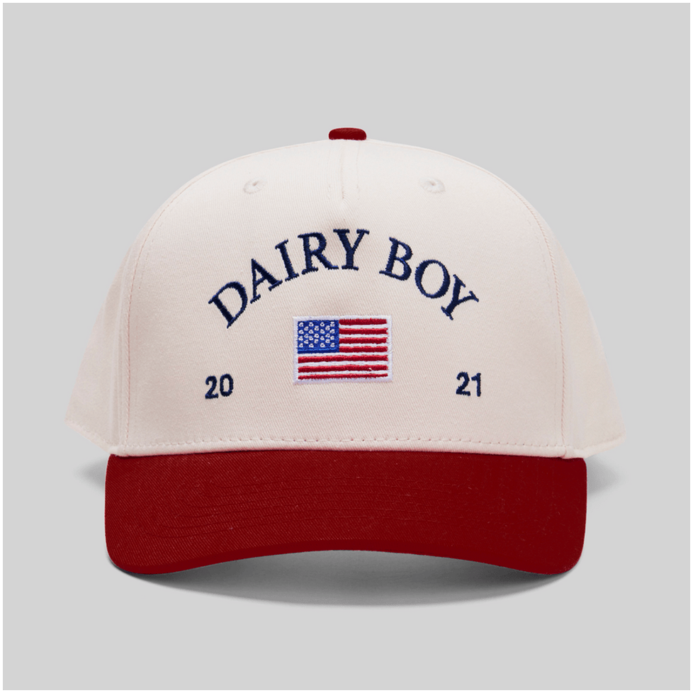 Dairy Boy Hat Embroidered Dairy Boy Merch Dad Father's Day Gifts Birthday Gifts For Friends