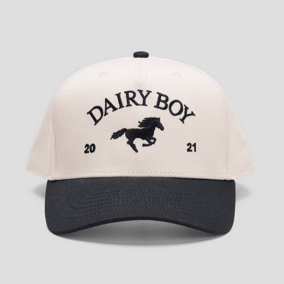 Dairy Boy Hat Embroidered Dairy Boy Merch Father's Day Gifts For Grandpa Gifts For Fans