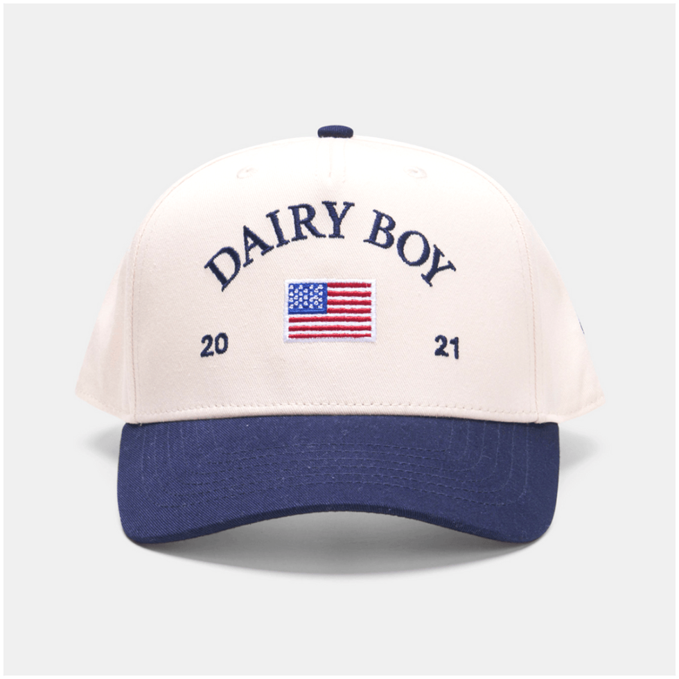 Dairy Boy Hat Embroidered Dairy Boy Merch Sentimental Father's Day Gifts Gifts For Besties
