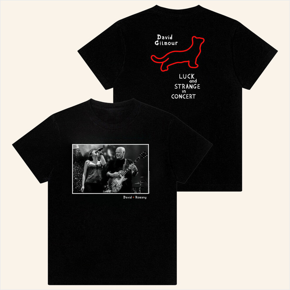David And Romany In Concert T-Shirt David Gilmour Merch Unique Birthday Gifts For Husband
