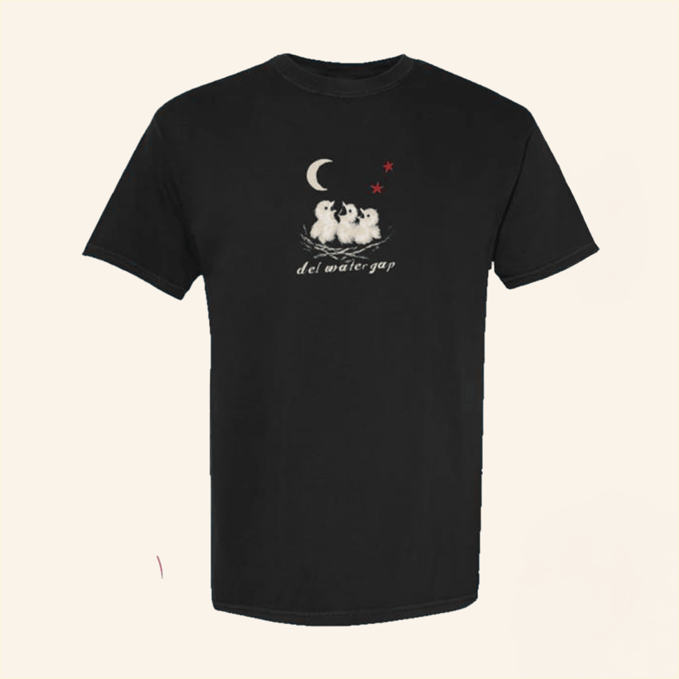 Del Water Gap Birdie T-Shirt Ambient Inks Merch Best Friend Birthday Gifts Christmas Presents