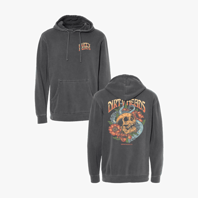 Dirty Heads Merch Treasure Hoodie Unique Gift For Boyfriend Birthday Gifts For BFF