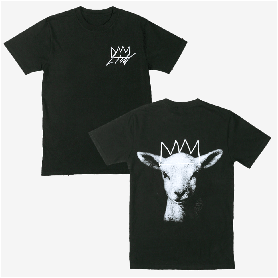 Elevation Worship Merch T-Shirt Lion Album Artwork Shirt Music Fan Gifts Gifts For Fans