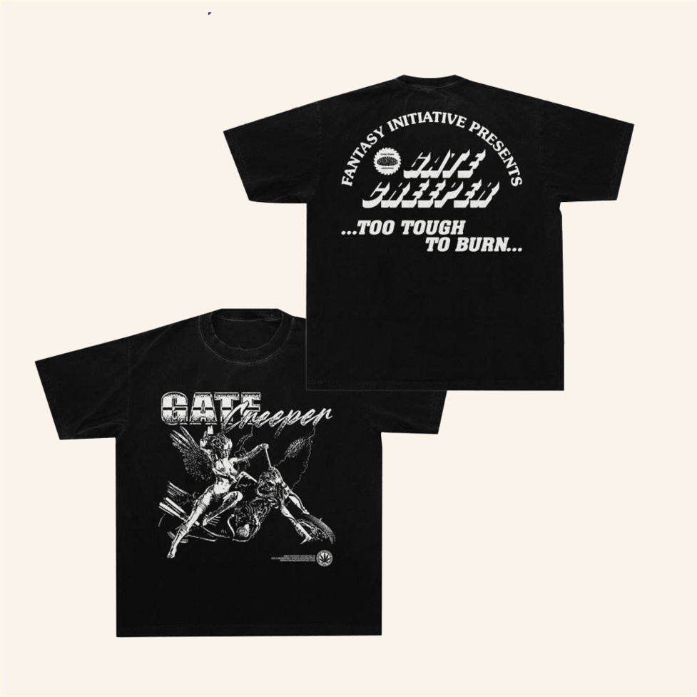 Fantasy Initiative Valkyrie T-Shirt Fantasy Initiative Merch Birthday Gifts For Friends