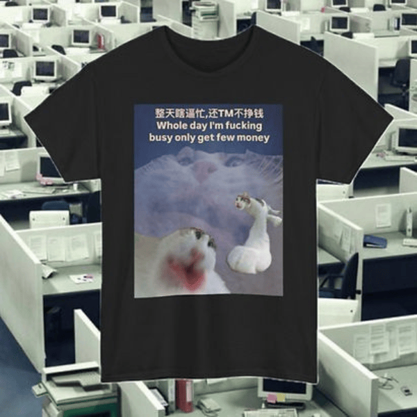 Few Money T-shirt Gift For Cat Lovers