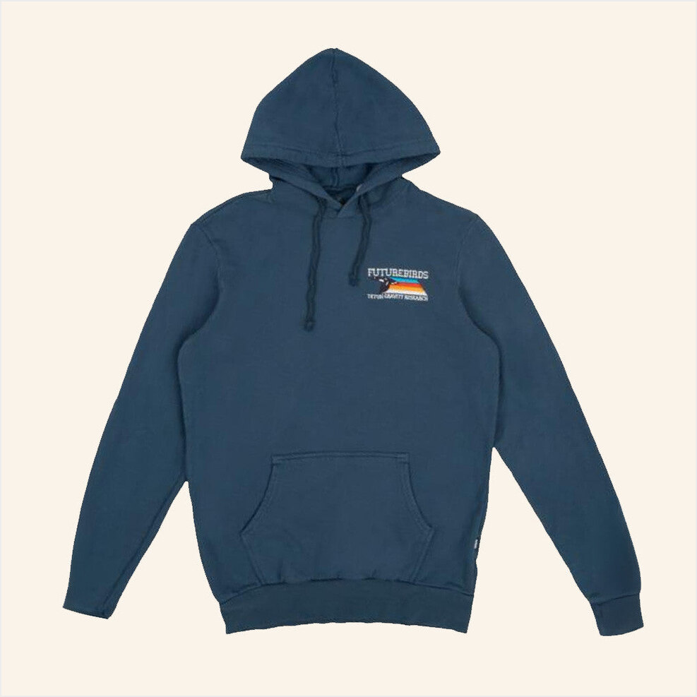 Futurebirds X Teton Gravity Research Hoodie Futurebirds Music Merch Gifts For Best Friend