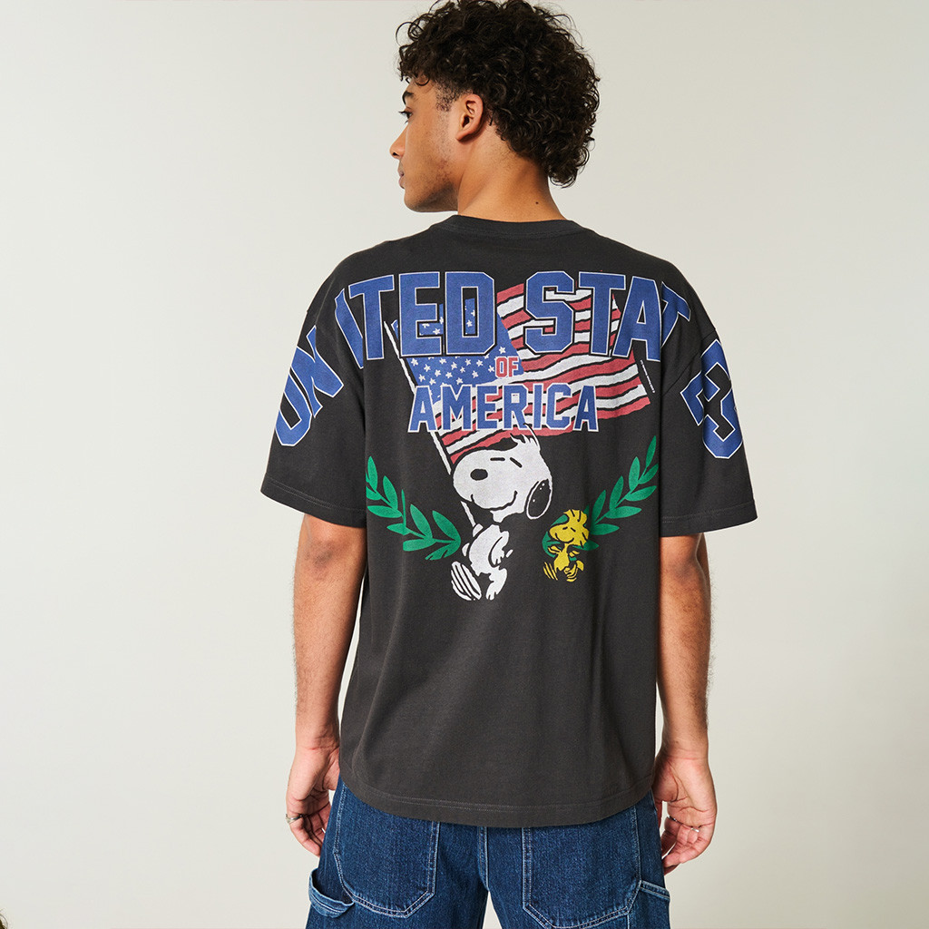 Hollister America Shirt United States Of America T-Shirt Gift Ideas For Husband