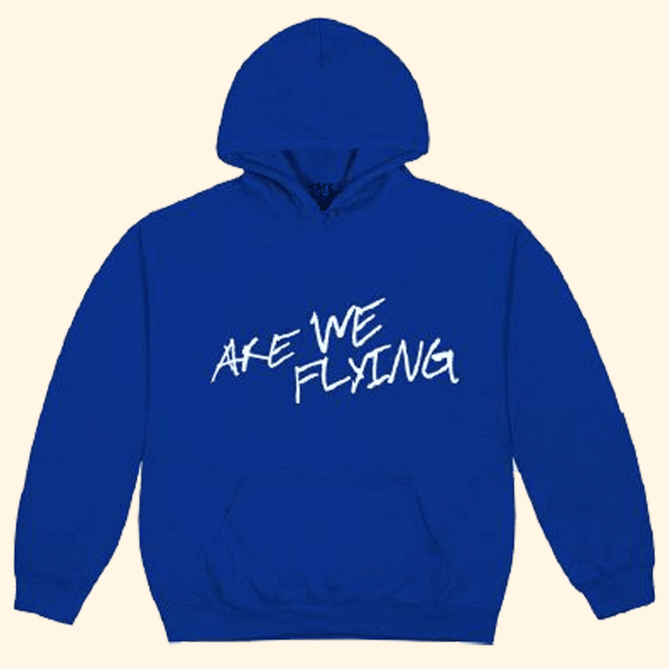 Hoodie Tate McRae Merch Tate McRae Are We Flying Hoodie Canadian Music Fan Birthday Gifts