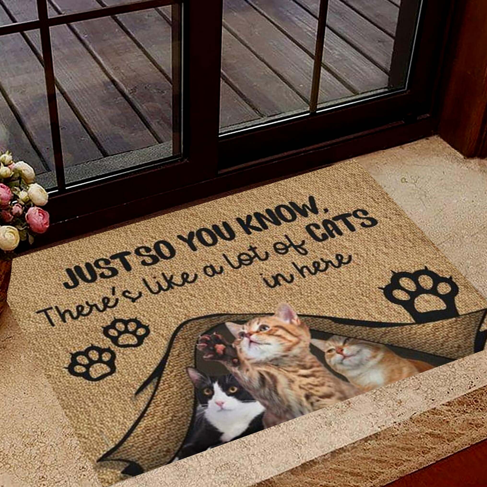 Just So You Know There's Like A Lot Of Cats In Here Doormat Indoor Door Mats Cute Cat Gifts