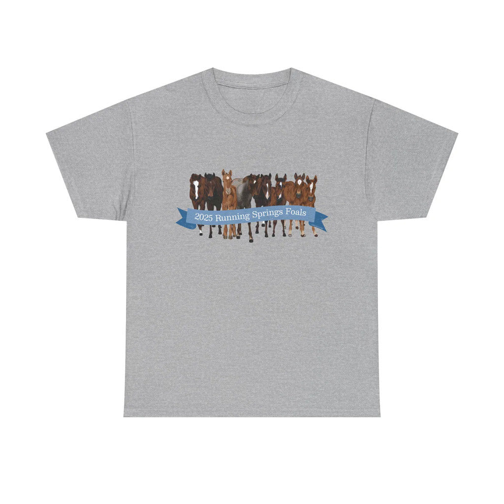 Katie Van Slyke Merch 2025 Running Springs Foals T-Shirt Present For Him