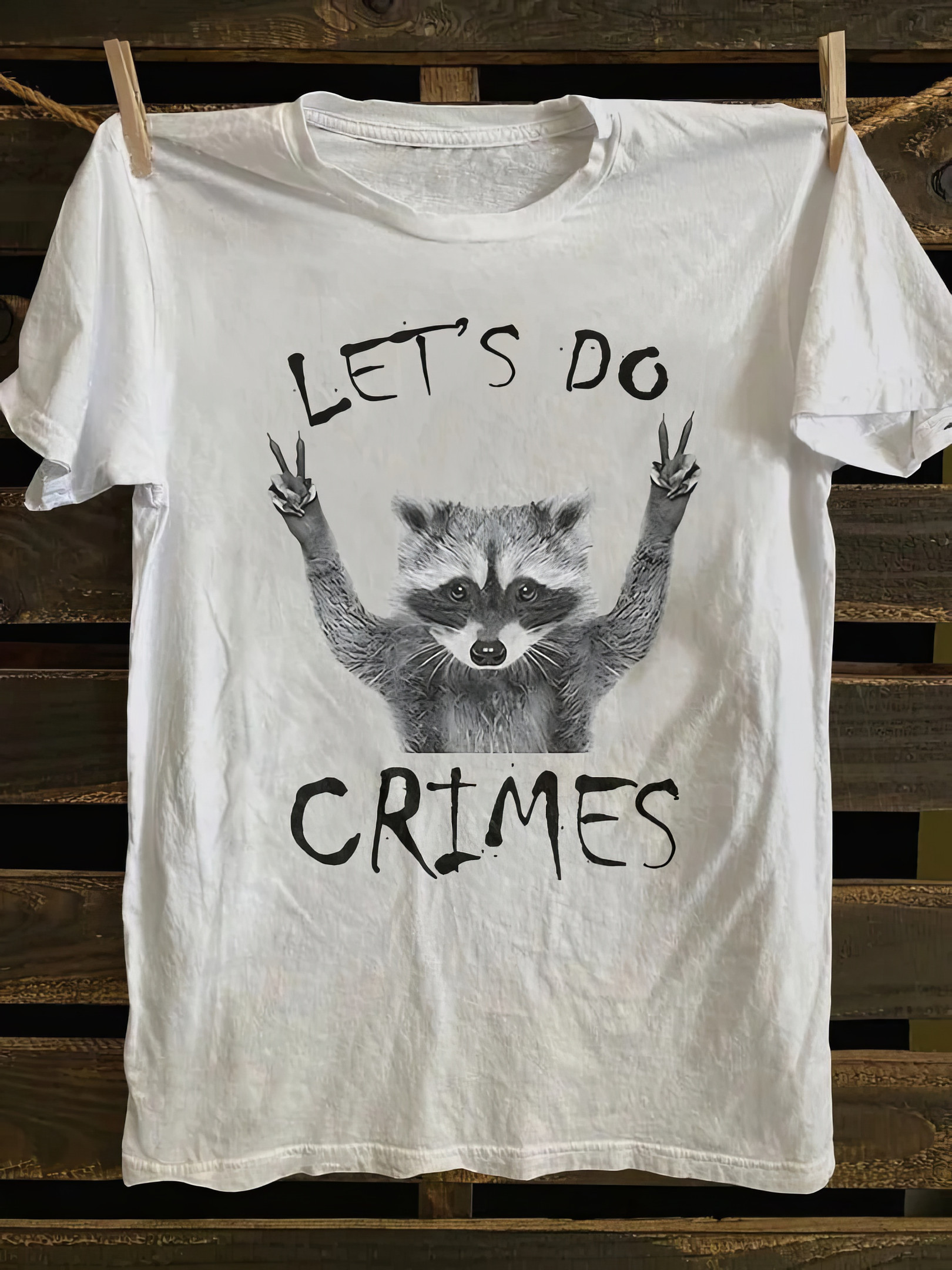 Let's Do Crime Raccoon T-Shirt Funny Graphic Tees Gifts For Friends