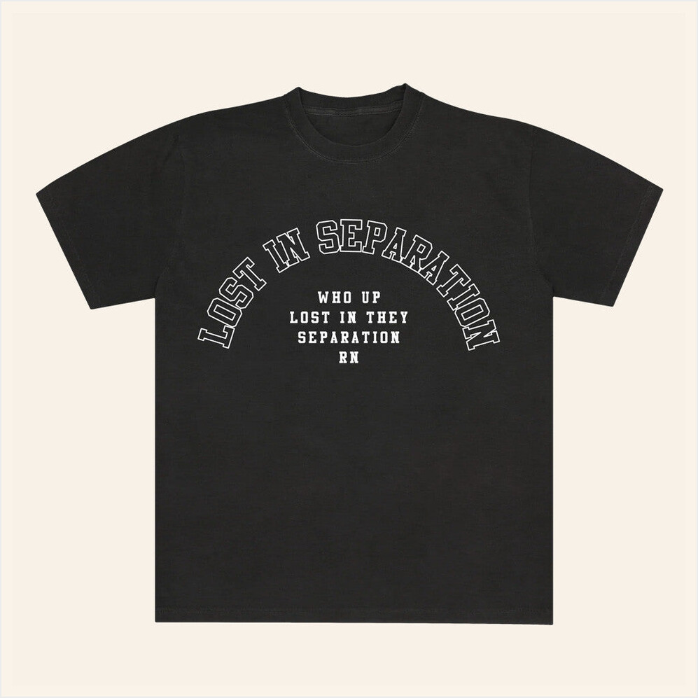 Lost In Separation Meme Arch T-Shirt Down Right Merch Gifts For Dad Gifts For Best Friend