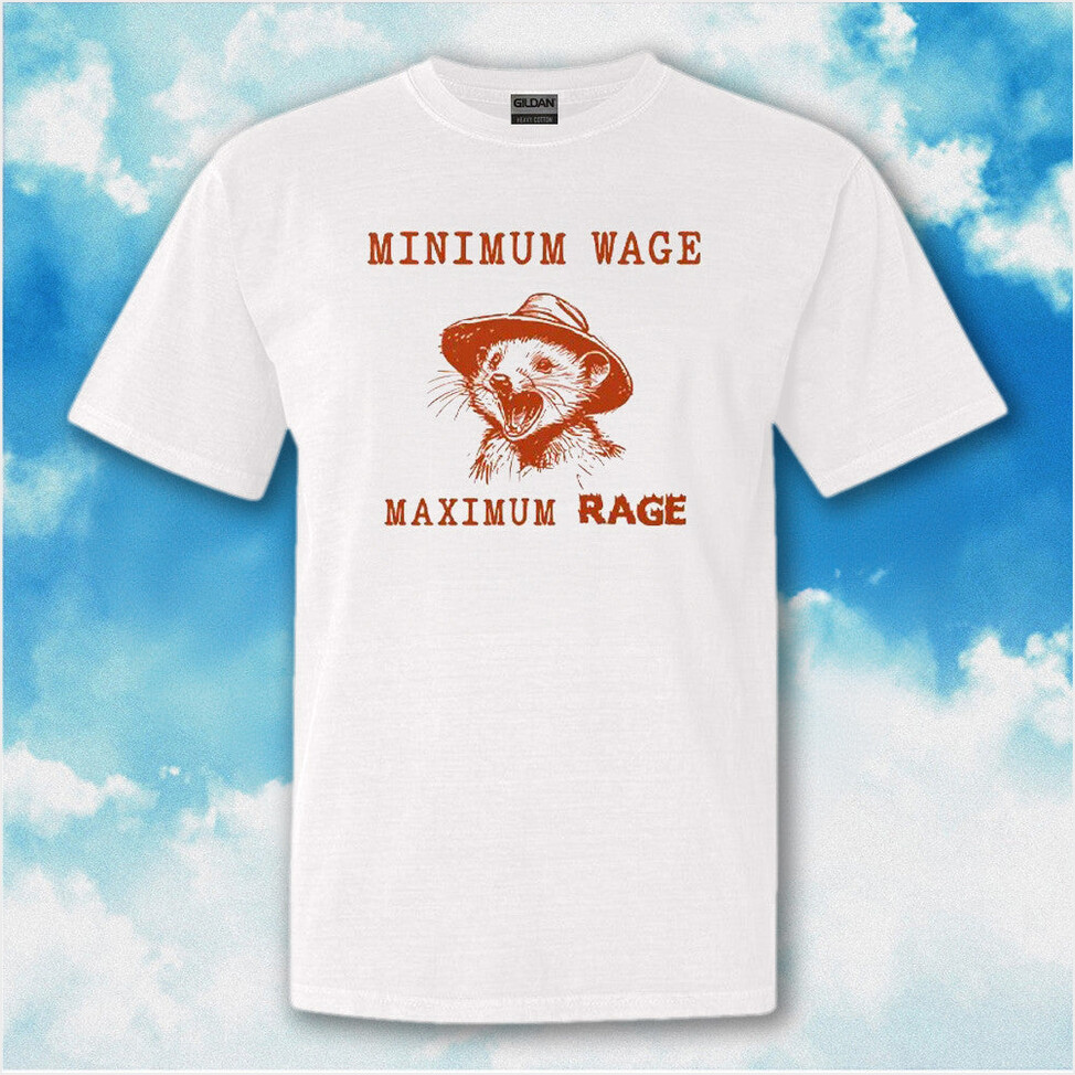 Minimum Wage Maximum Rage Opossum T-Shirt Funny Sayings Shirt Birthday Gifts For Friends