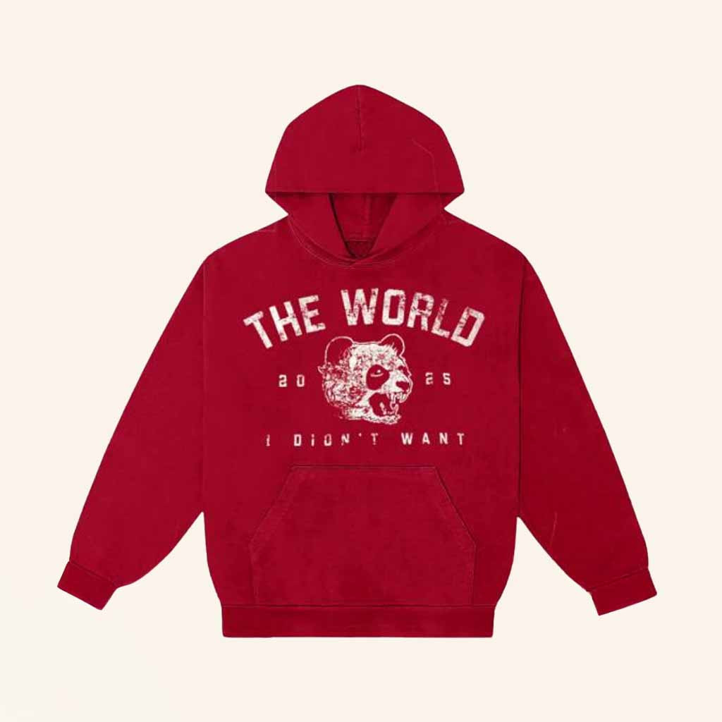 Natalie Jane Merch The World 2025 I Didn't Want Hoodie Gift Ideas For Music Lovers