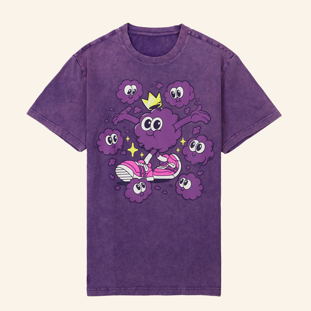 Ranboo Merch Particle Palooza Purple Wash T-Shirt Gifts For Friends