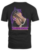 SAHXL Purple Logo Black Official Hoodie Reebedo Shirt