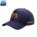 Toledo Mud Hens Crawlers 2025 Limited Edition Hoodie