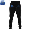 Detroit Lions 2024 Back In Black Limited Edition Half Zip Hoodie