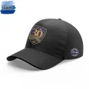 Baltimore Ravens 30th Season Virtual Limited Edition Hoodie