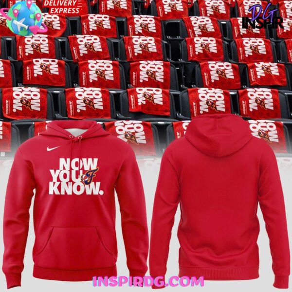 Indiana Fever Now You Know Special Hoodie