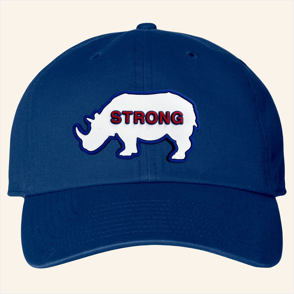 Ryno Strong Hat Ryne Sandberg Hat Obvious Shirts Birthday Gift Ideas For Baseball Fans