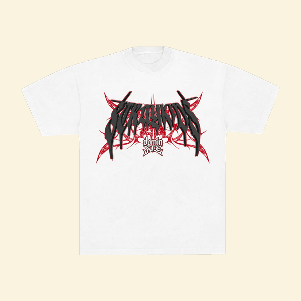 Stray Kids DominATE T-Shirt Live Nation Stray Kids Merch Stray Kids Tour Merch Mothers Day Gifts