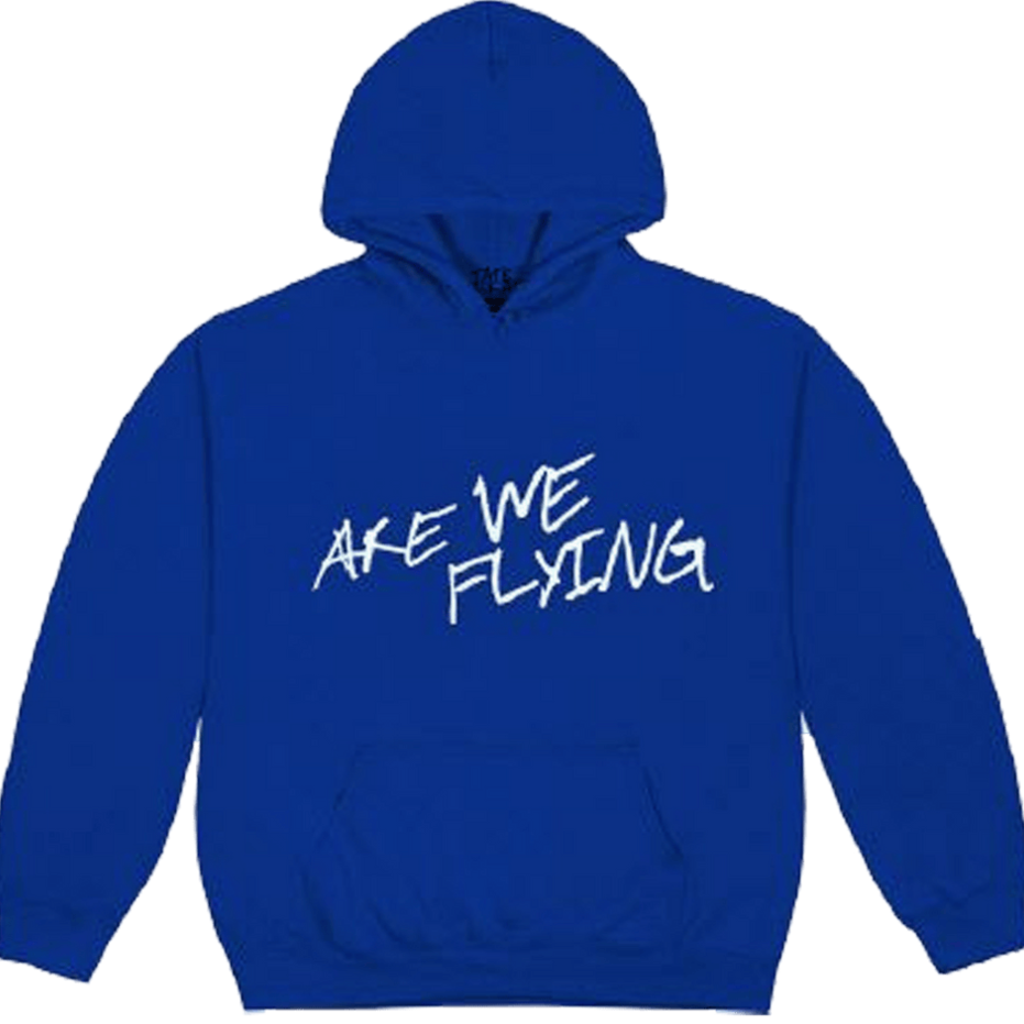 Tate McRae Merch Hoodie Tate McRae Are We Flying Hoodie Canadian Music Fan Gifts Gifts For BFF