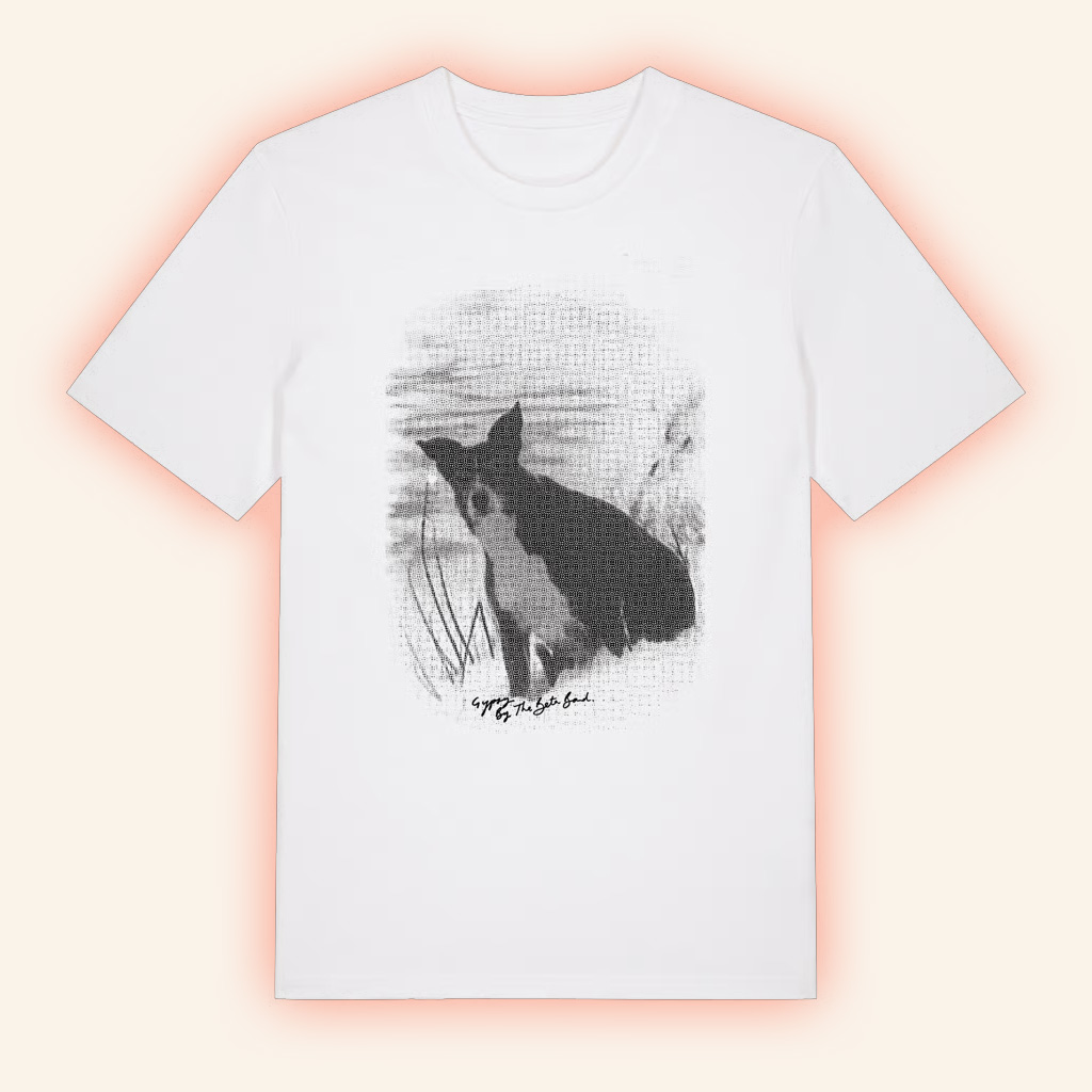 The Beta Band Merch Beta Band Gypsy T-Shirt Christmas Gifts For Friends