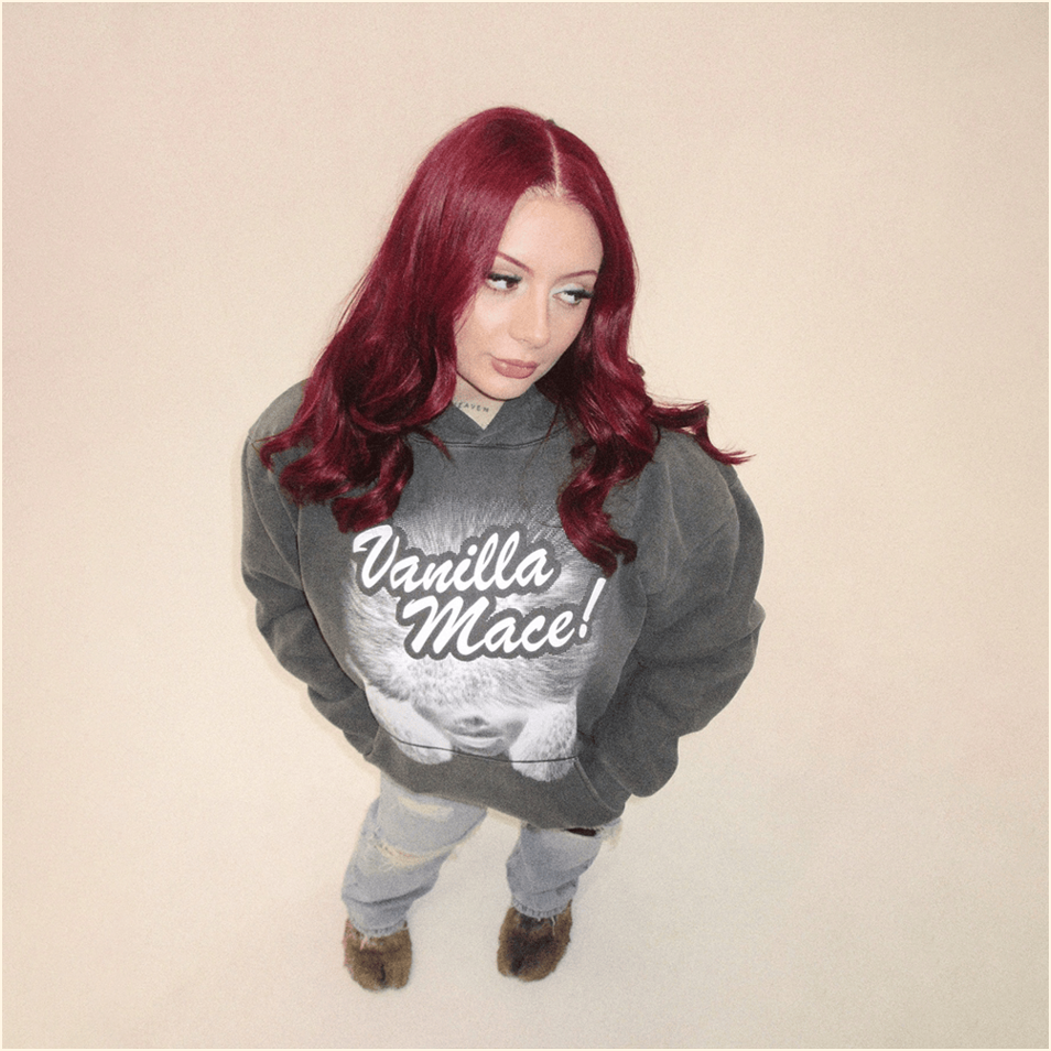 Vanilla Mace Hoodie Vanillamace Merch Birthday Gifts For Best Friend Christmas Presents